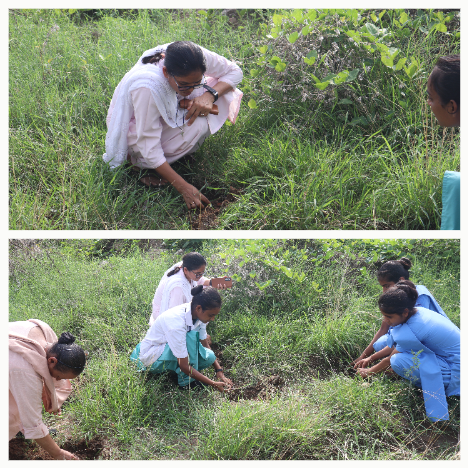 Seed Ball Drive: Green Campus Initiative