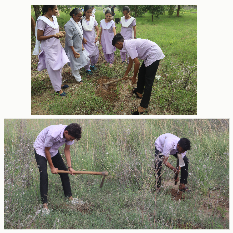 Seed Ball Drive: Green Campus Initiative