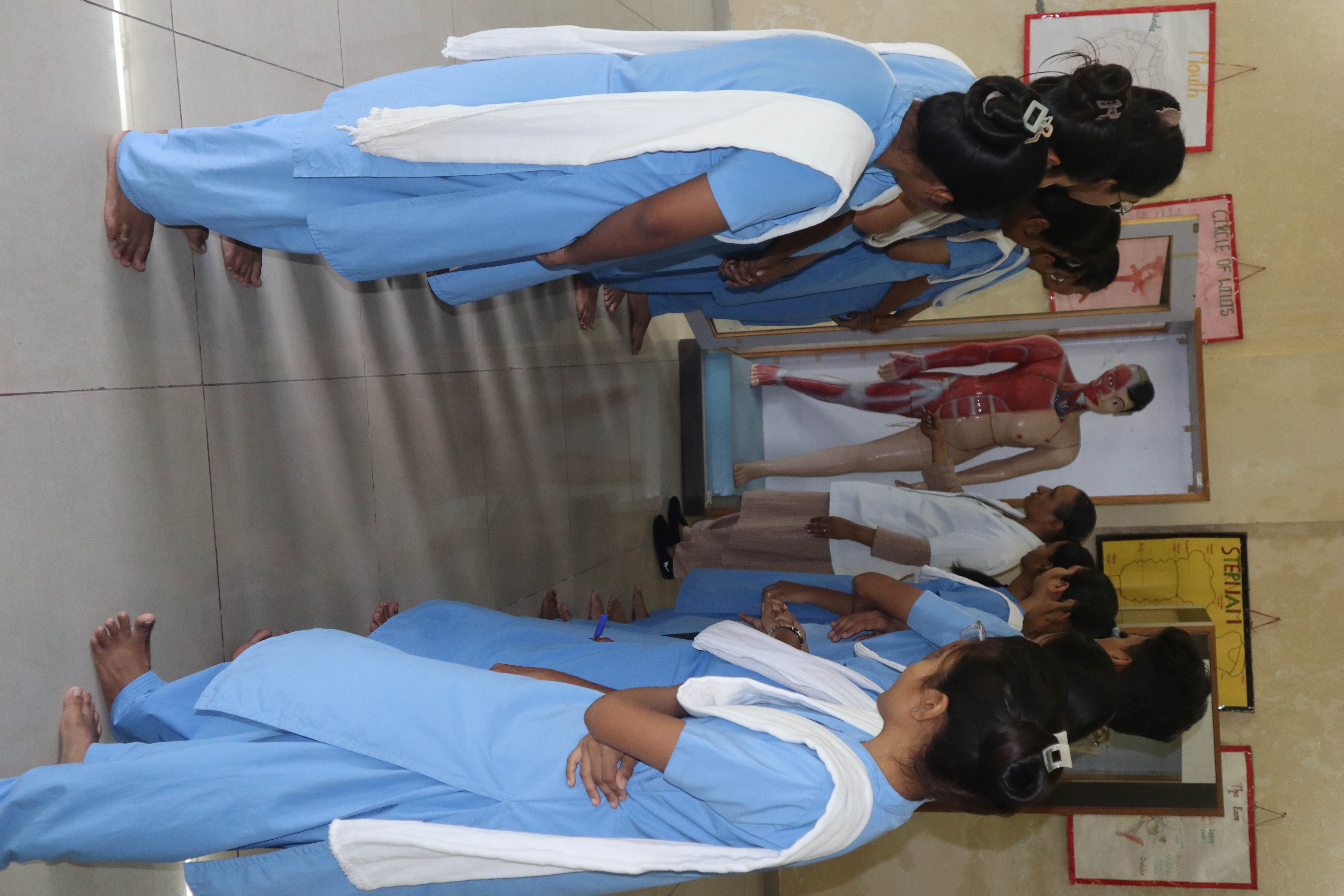 Hands-on Learning In The Anatomy Lab. Students Exploring Structural Anatomy And Real-world Medical Science.