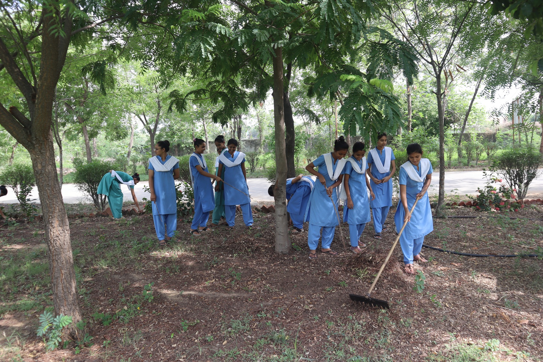 OLP Nursing Academy