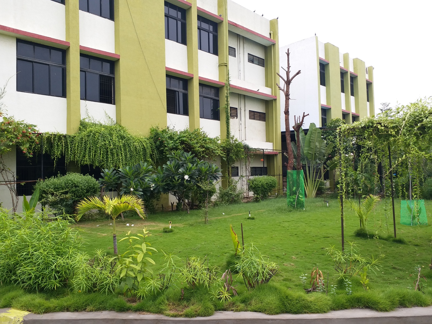 OLP Nursing Academy