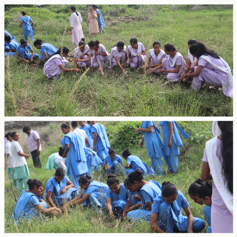 Seed Ball Drive: Green Campus Initiative